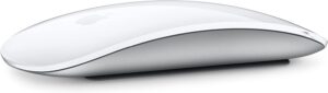 APPLE MAGIC MOUSE