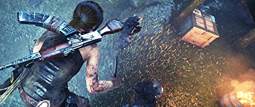 PS4 Rise of the Tombraider-tech junction store